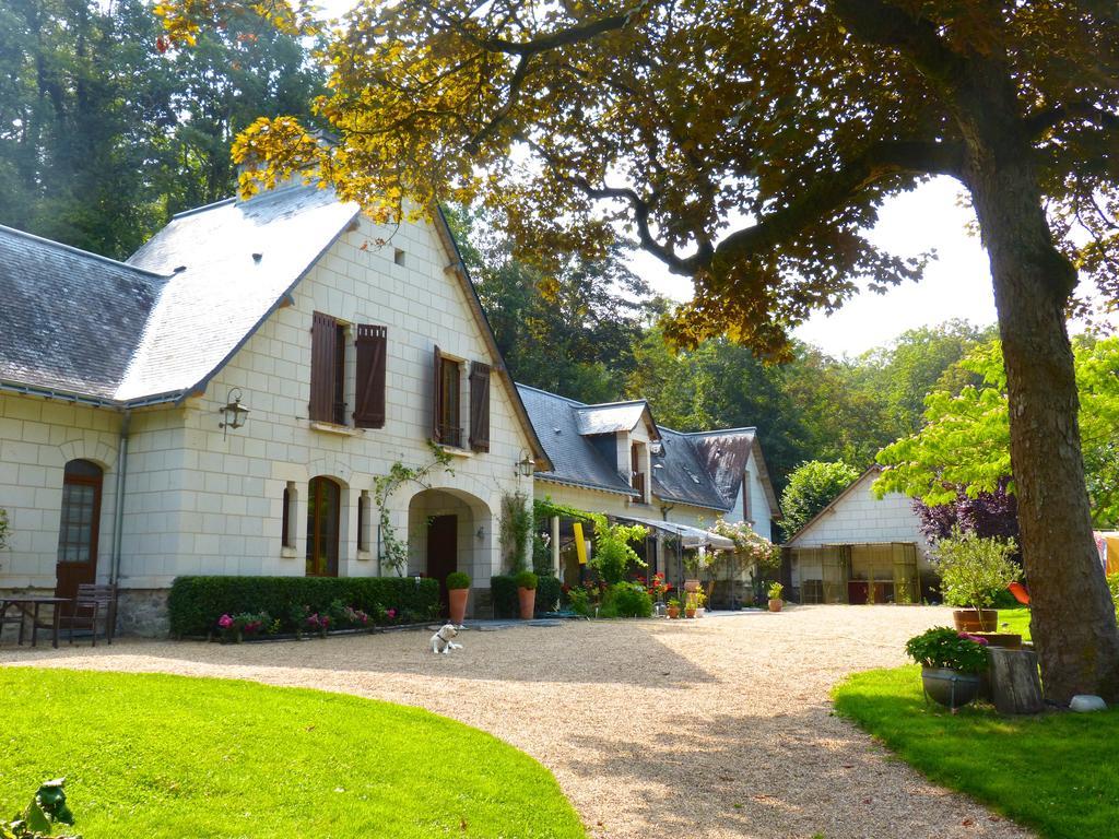 Domaine De Joreau Gennes-Val-de-Loire Kültér fotó